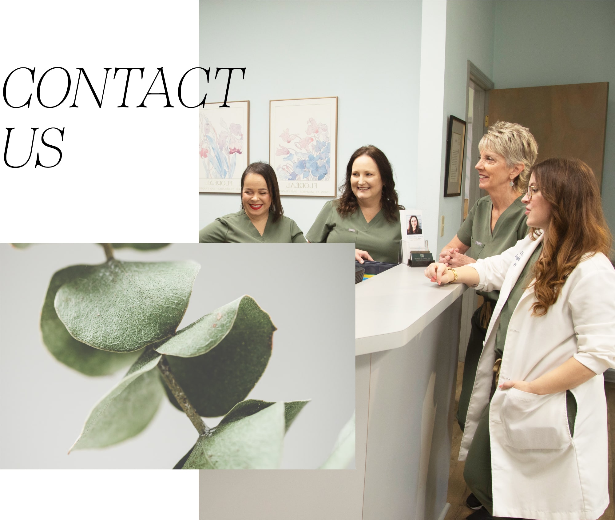 Contact us - Dentists in Seminloe FL