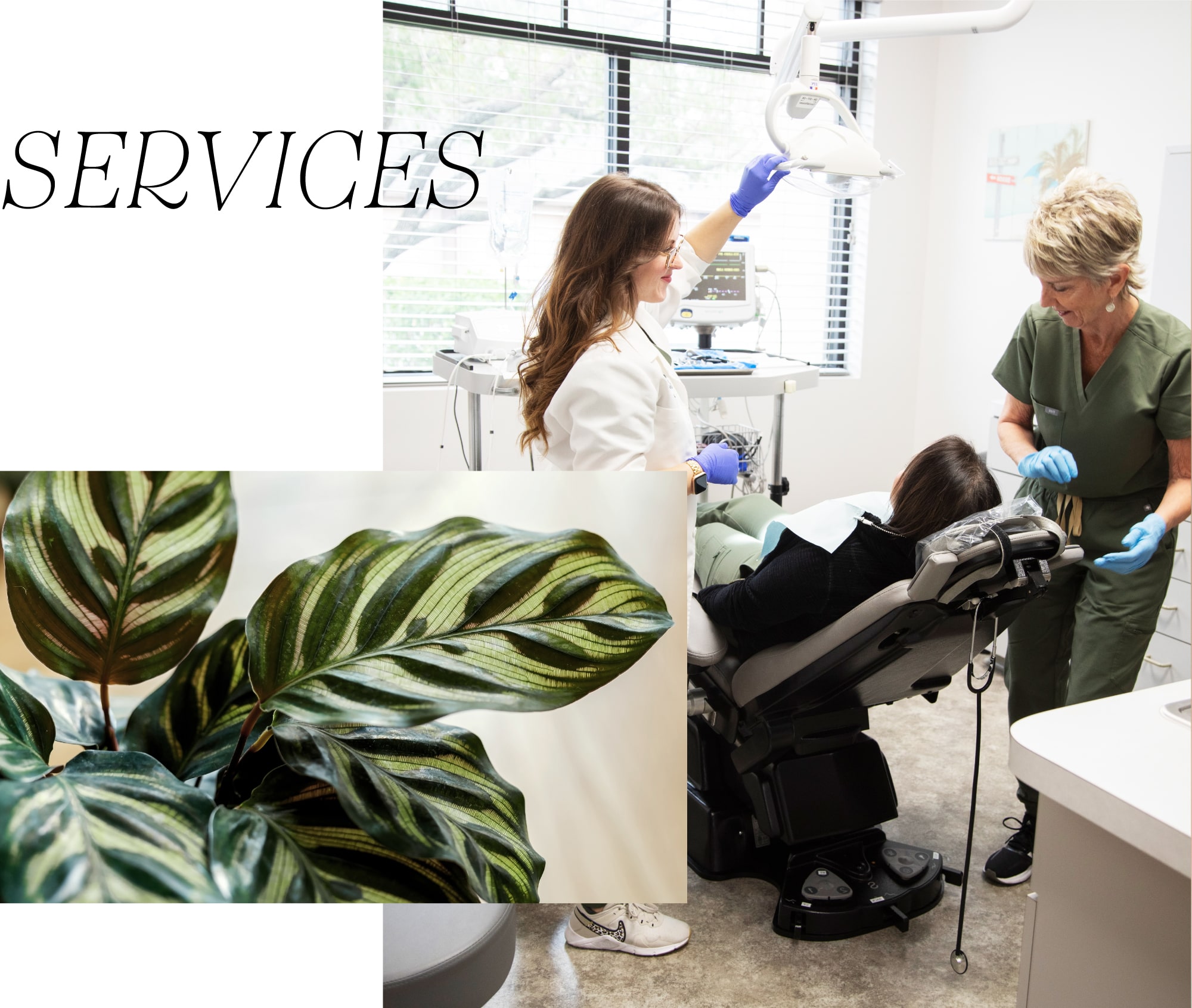 Services - Dentists in Seminloe FL